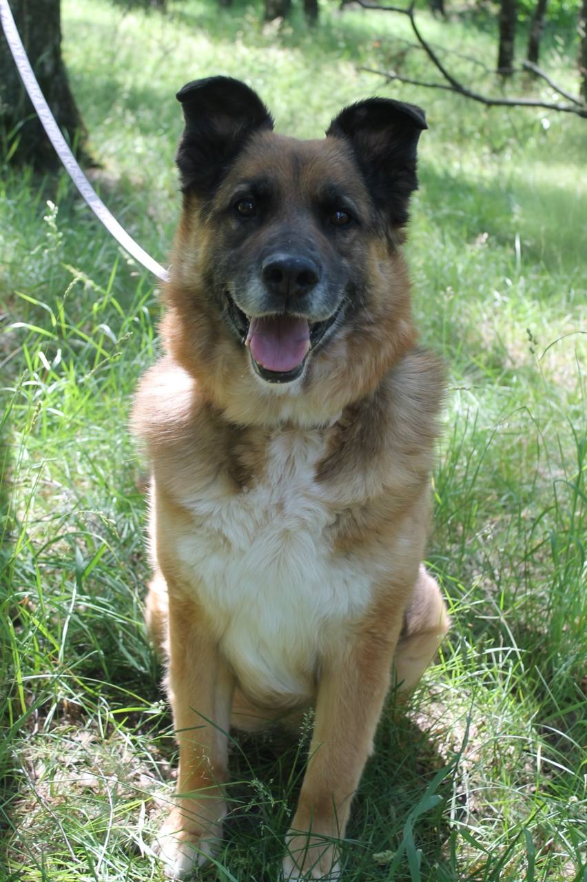 image-14-07-26-03-16-2